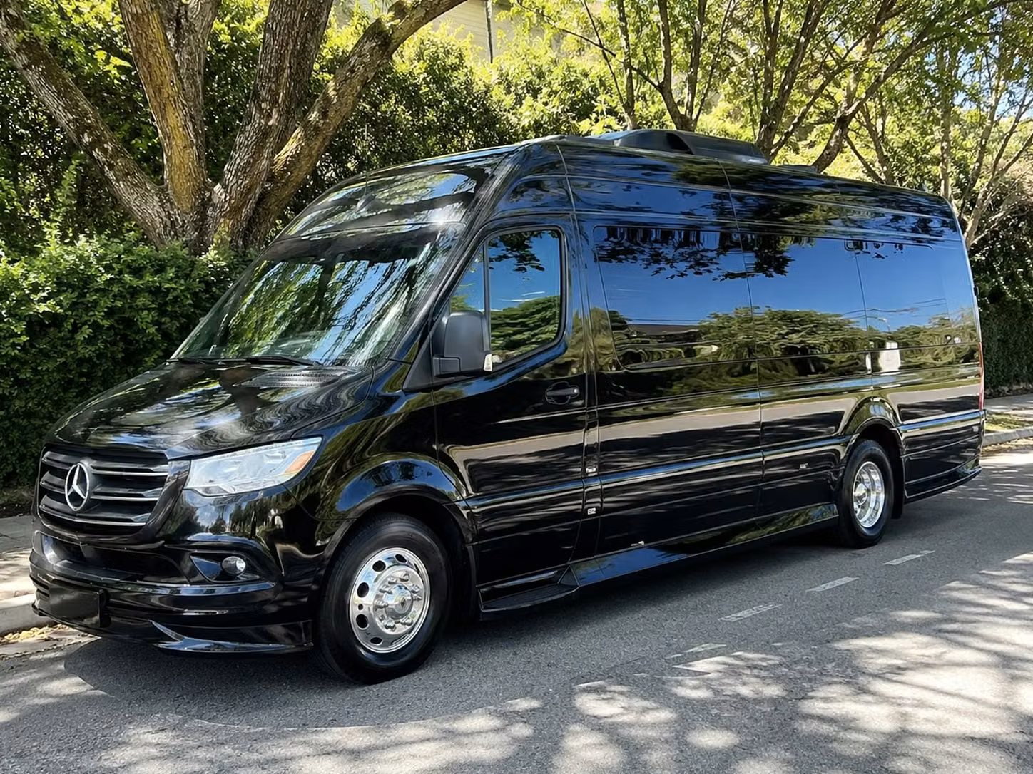 sprinter van with driver