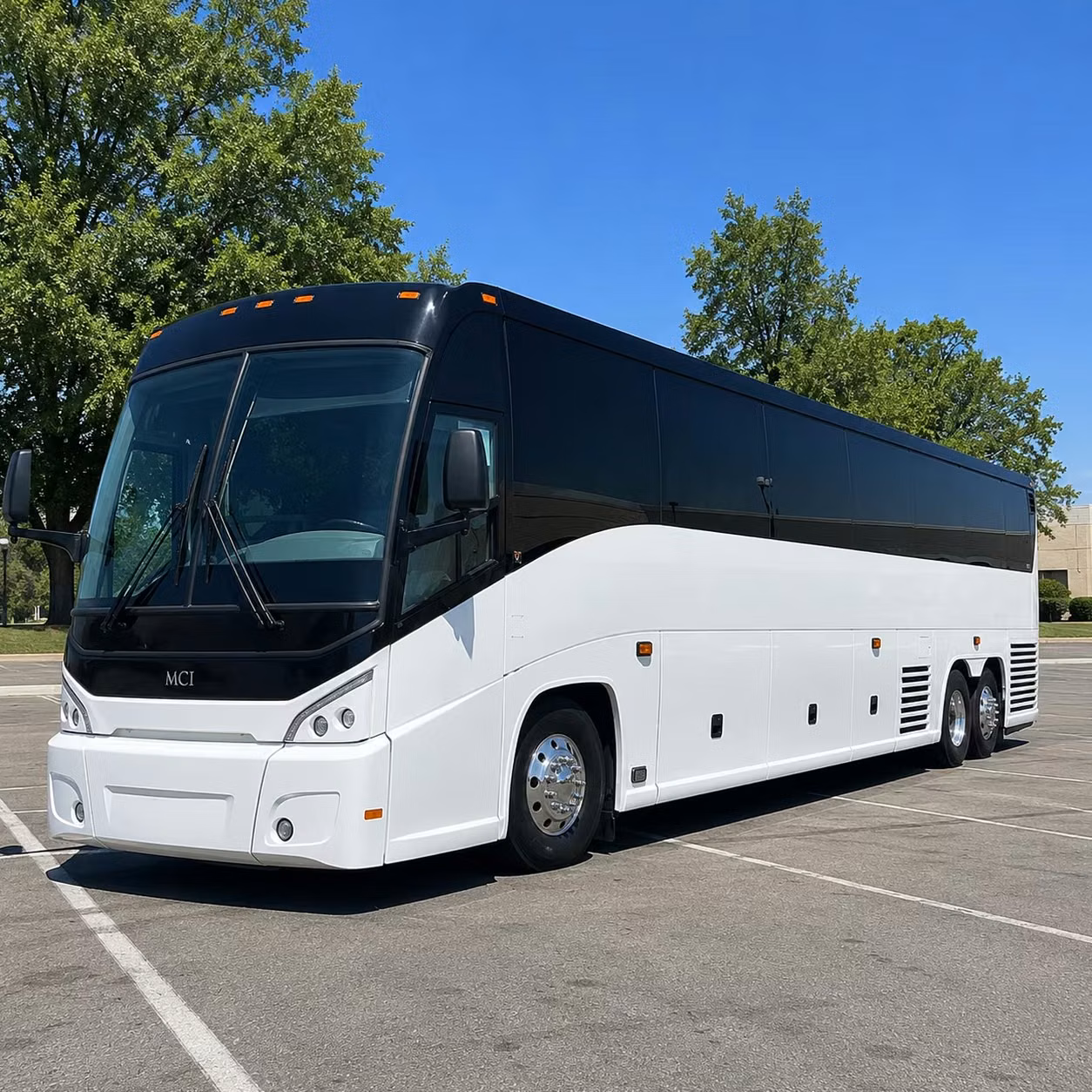 these are the bus types government coordinators in plano use most